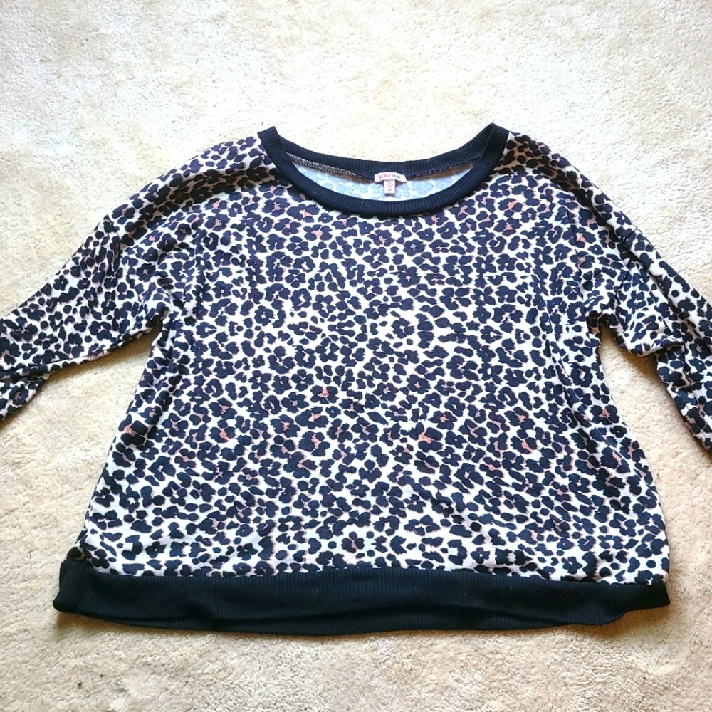 Leopard Print Sweater 3X